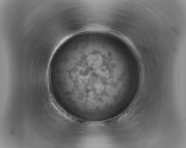 X0000112080864200908111453