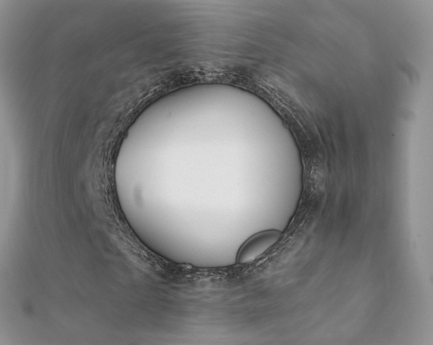 X0000112080865200908111453
