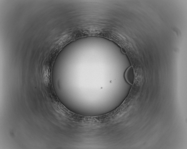 X0000112080866200908111453