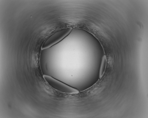 X0000112080868200908111453
