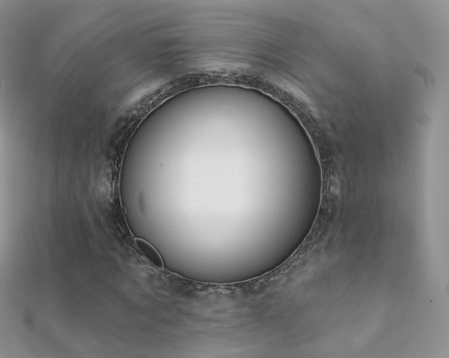 X0000112080869200908111452