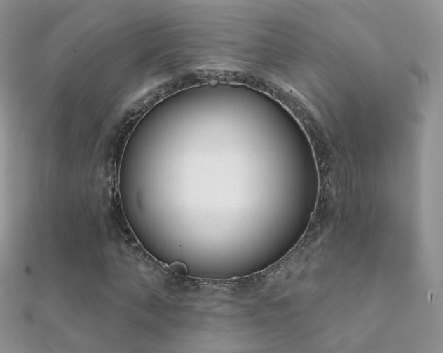 X0000112080870200908111452