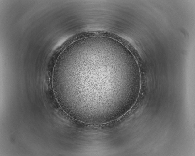 X0000112080871200908111452