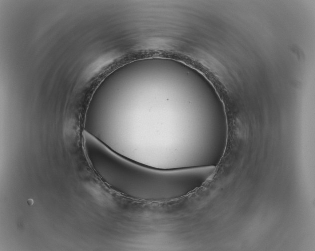X0000112080872200908111452