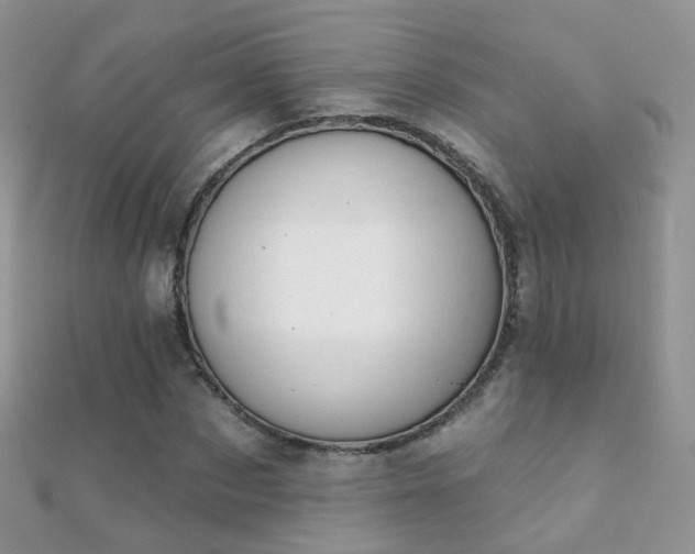 X0000112080873200908111452