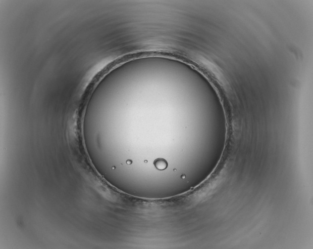 X0000112080875200908111452