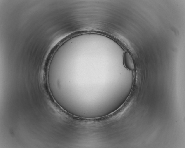 X0000112080876200908111452