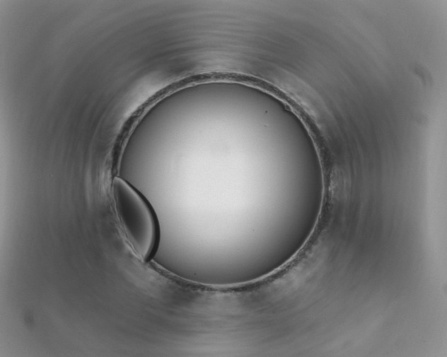X0000112080877200908111452