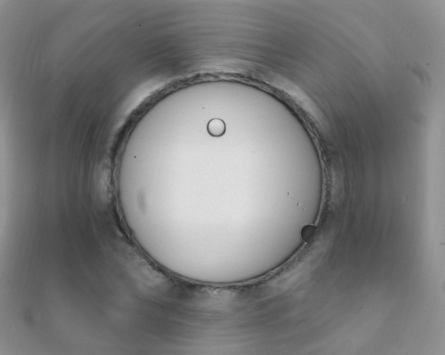 X0000112080878200908111452
