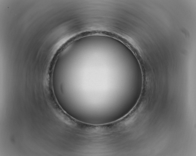 X0000112080879200908111452