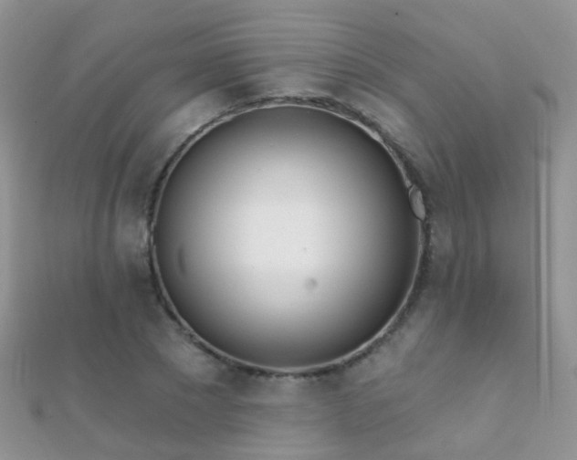 X0000112080881200908111452