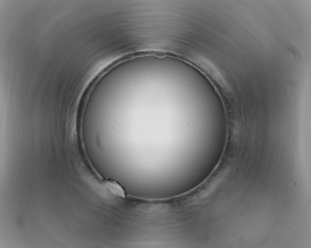 X0000112080884200908111452