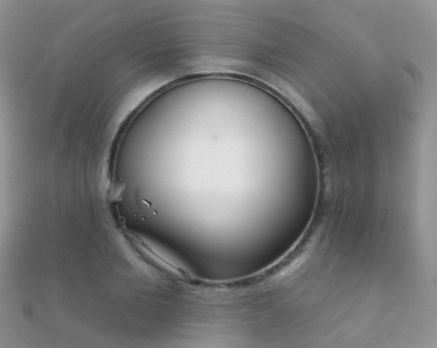 X0000112080885200908111452