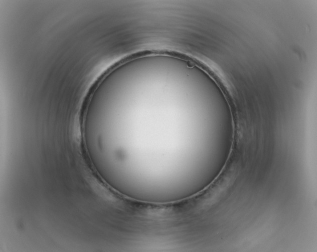 X0000112080887200908111452