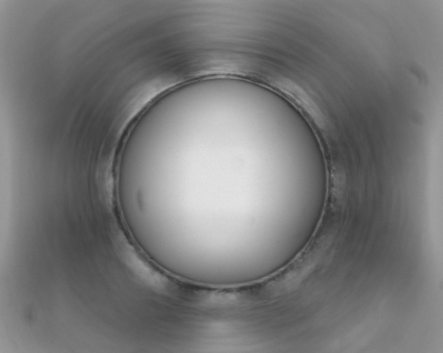 X0000112080890200908111452