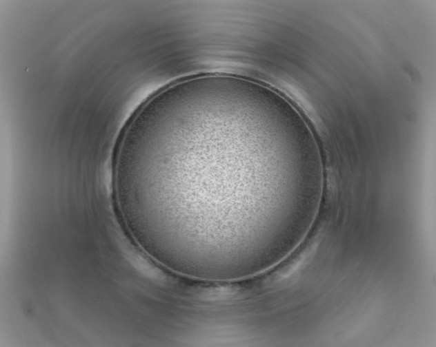 X0000112080891200908111452