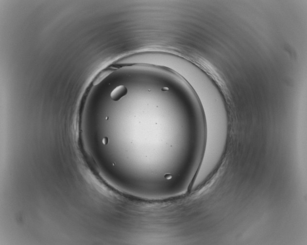 X0000112080892200908111452