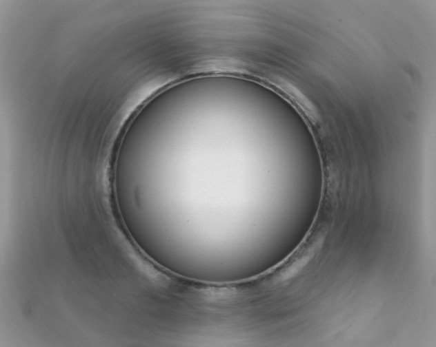 X0000112080893200908111452