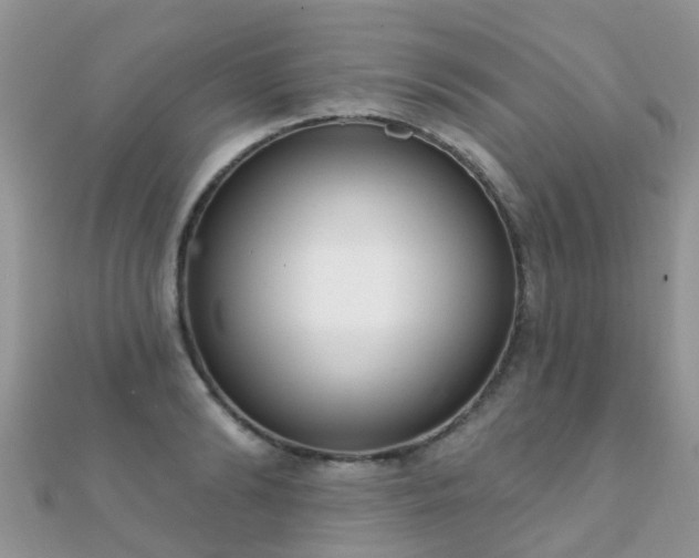 X0000112080894200908111452