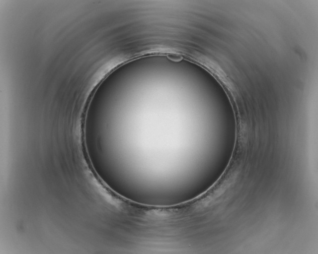 X0000112080898200908111452