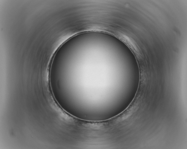 X0000112080900200908111452