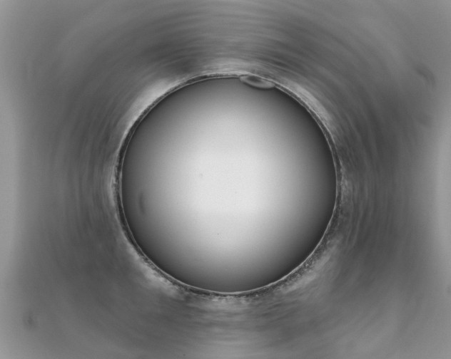 X0000112080901200908111452