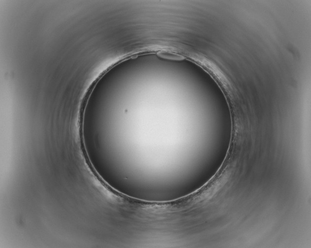 X0000112080902200908111452