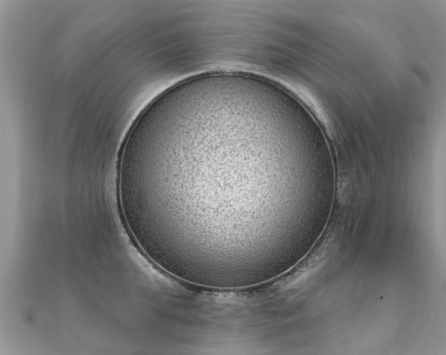X0000112080903200908111452