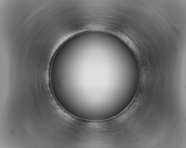 X0000112080904200908111452