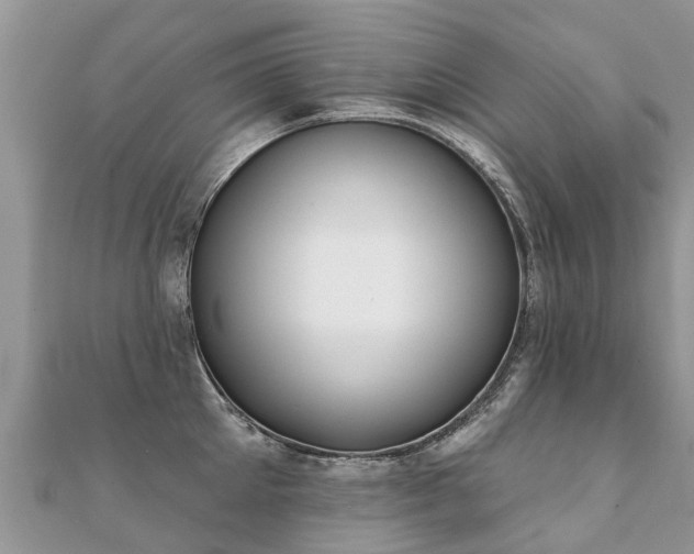 X0000112080905200908111452