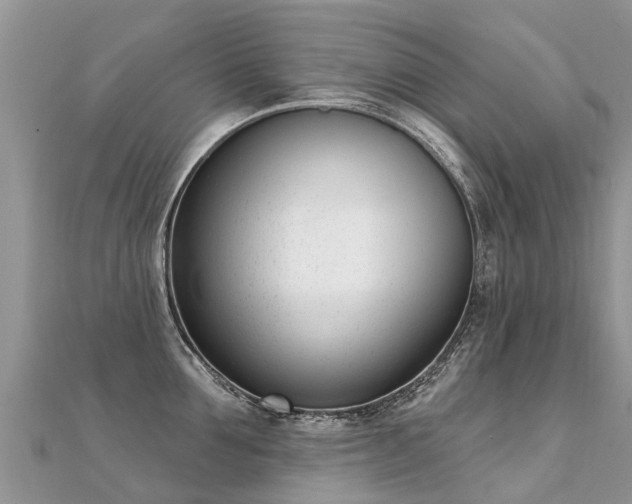 X0000112080907200908111452