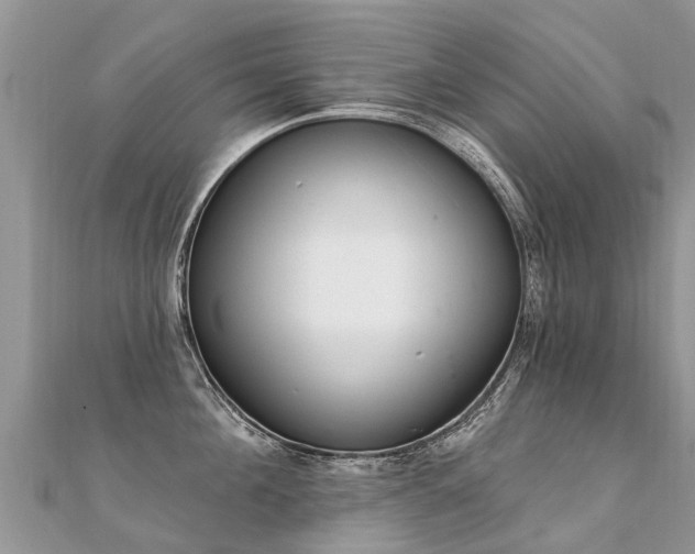 X0000112080908200908111452