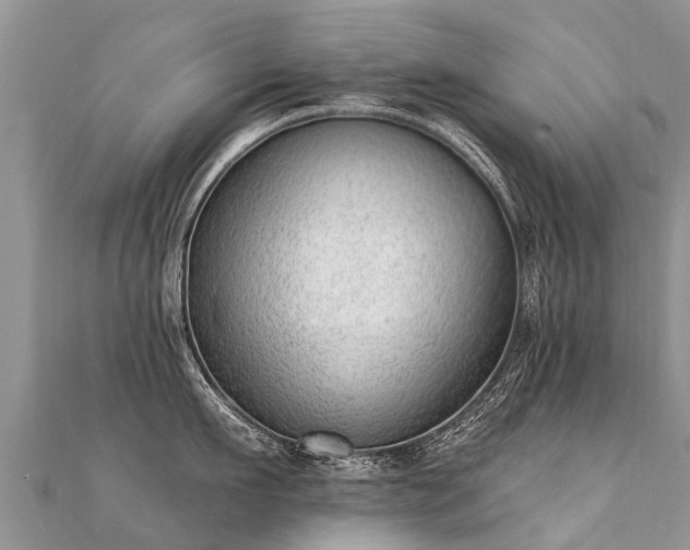 X0000112080911200908111452