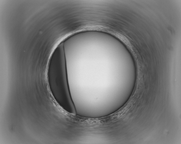 X0000112080912200908111452