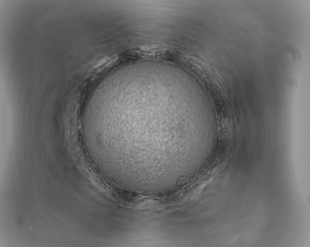 X0000112080913200908111451