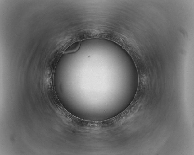 X0000112080914200908111451