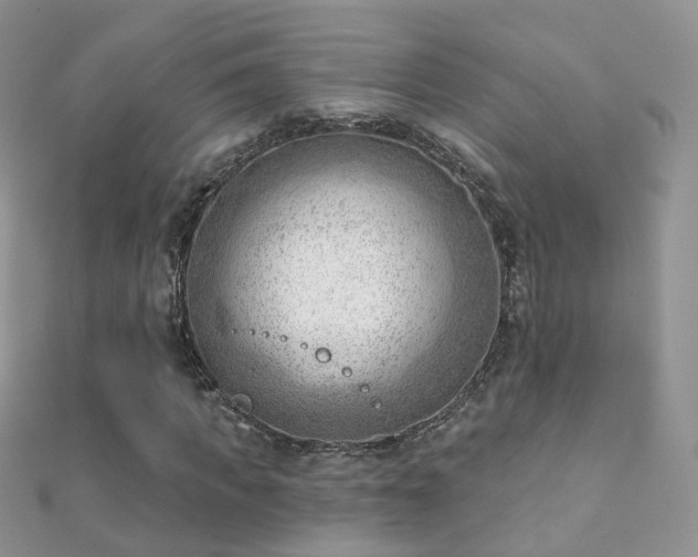 X0000112080917200908111451