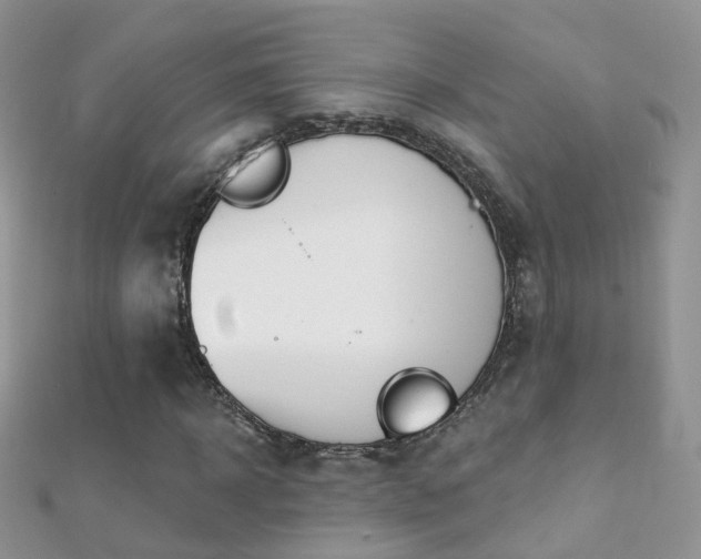 X0000112080918200908111451