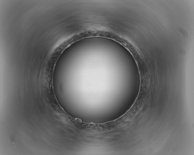 X0000112080919200908111451