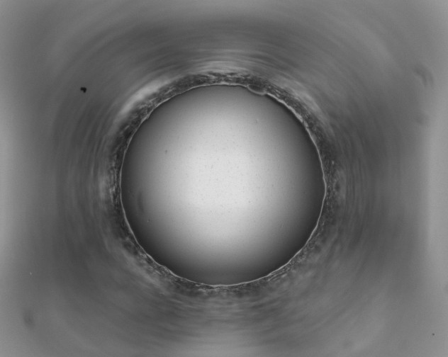 X0000112080920200908111451
