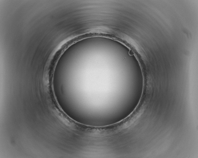 X0000112080923200908111451