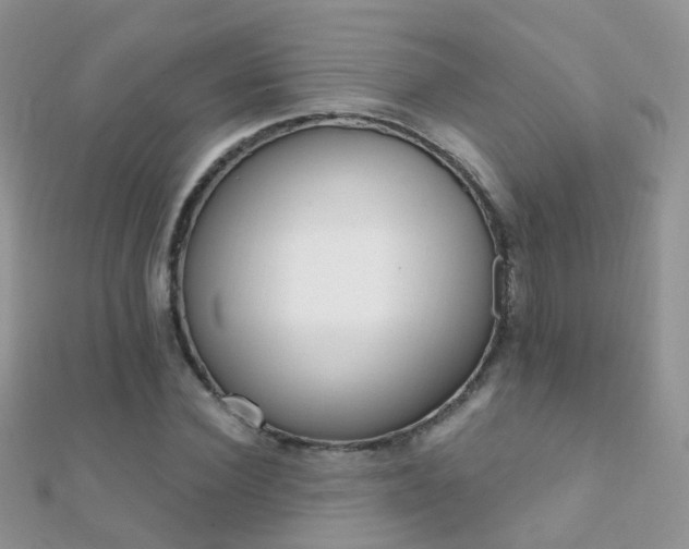 X0000112080924200908111451