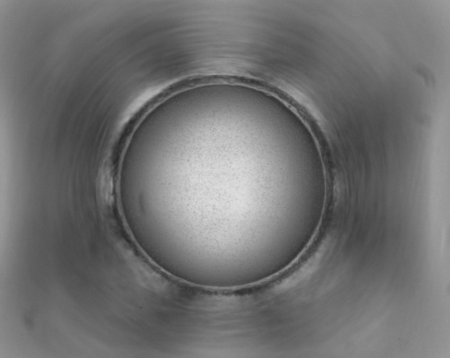 X0000112080925200908111451