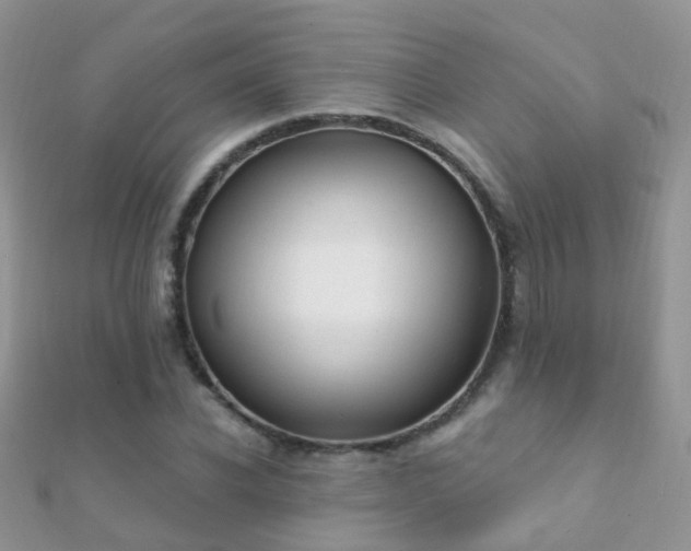 X0000112080926200908111451