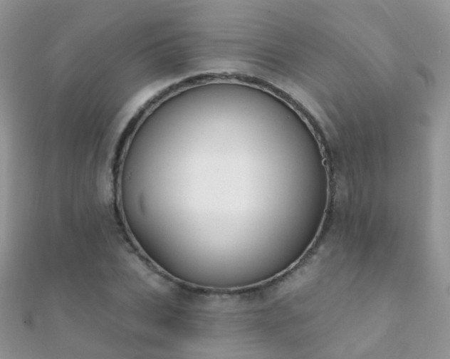 X0000112080927200908111452