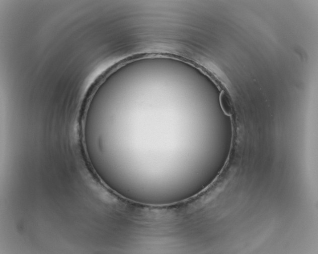 X0000112080928200908111452