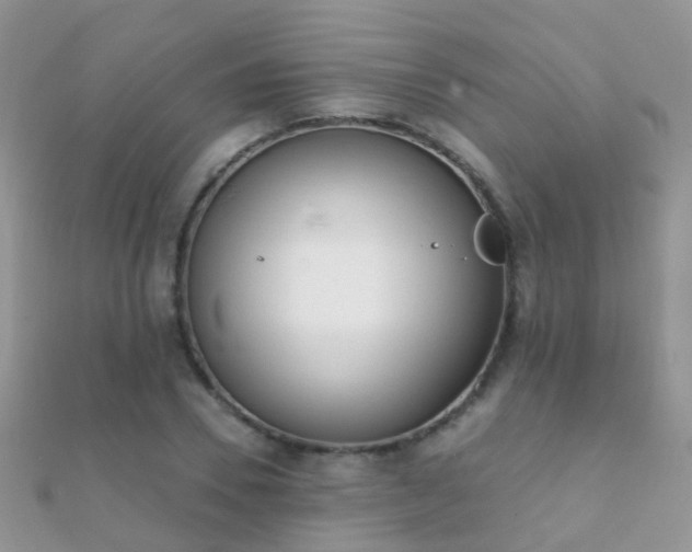 X0000112080930200908111452