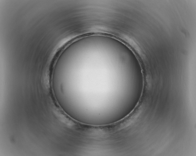X0000112080931200908111452