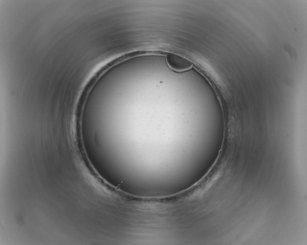 X0000112080932200908111452