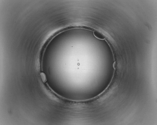X0000112080934200908111452